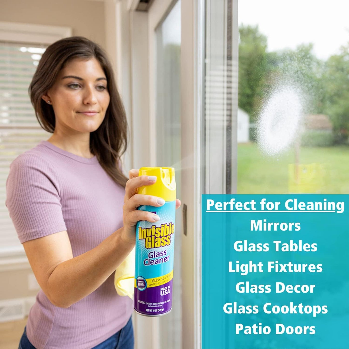 Invisible Glass 91160-2PK Premium Glass and Window Cleaner for Auto and Home Cleans Glass, Windows, Glass Cooktops, Patio Doors, and More, Streak-Free, Ammonia-Free, Tint-Safe, 19 Oz, Pack of 2
