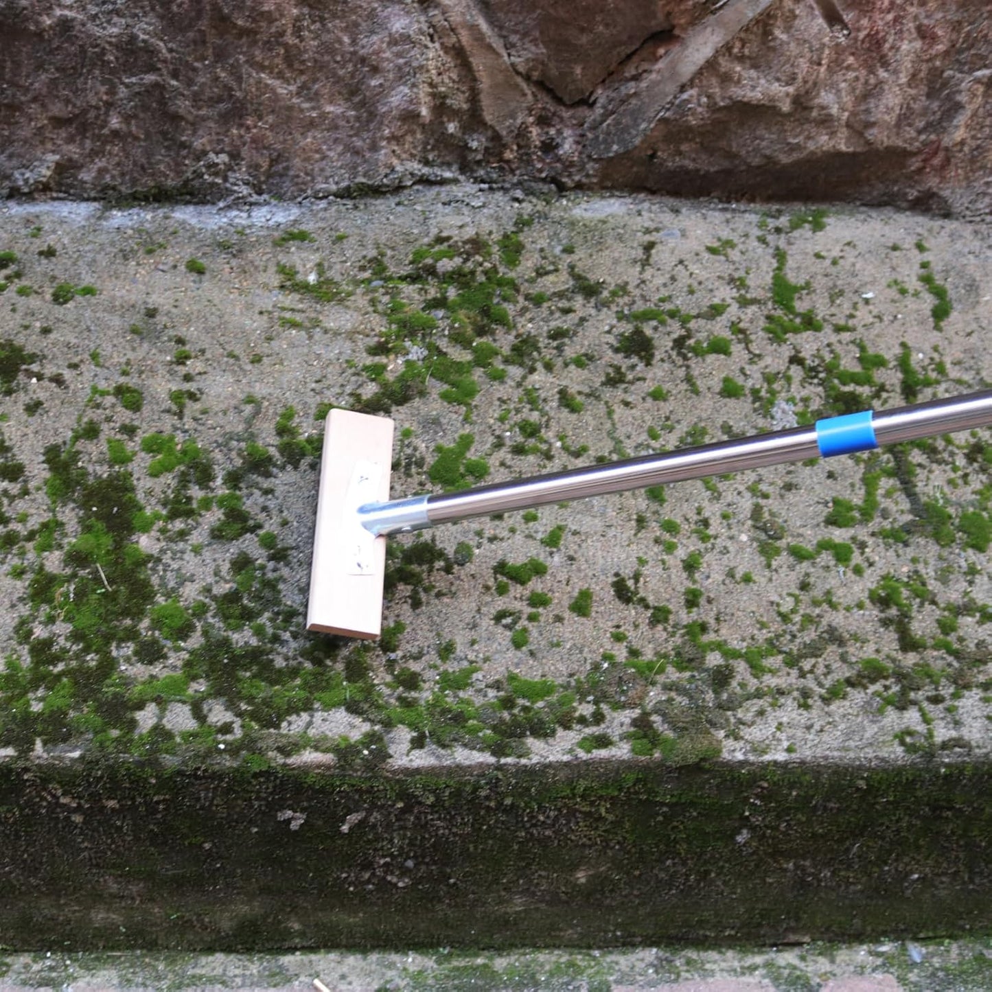 MAXMAN Stainless Steel Floor Scrubber Scrub Brush with Long Handle, Deck Brush, 63" Heavy Duty Outdoor Push Broom, Moss Remover, Wire Scratch Brush for Scrubbing Concrete, Patio, Garage, 2 Brush Head